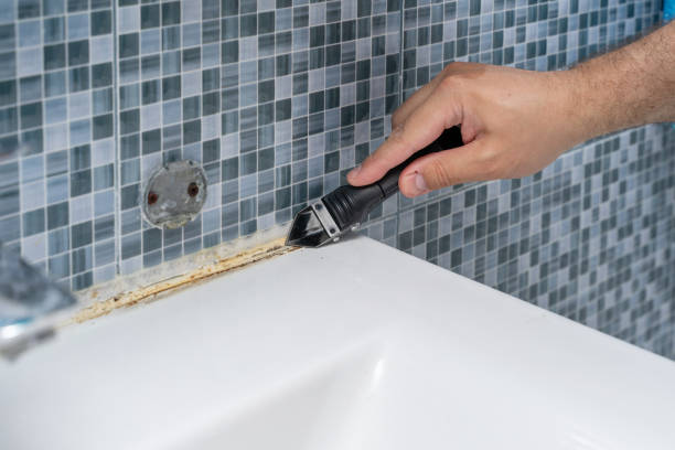 Best Mold Testing and Inspection Services in Morristown, IN